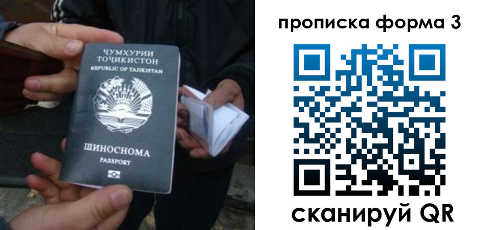 прописка 2025 в Павловске